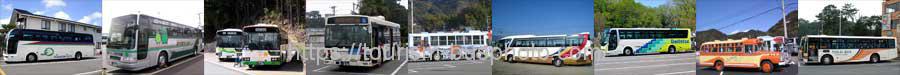 静岡県の観光バスと路線バス