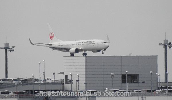 JAL-161010