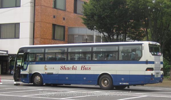 鯱バス170907