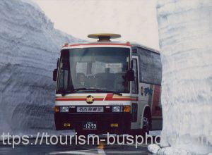 名古屋観光バス ドラゴン